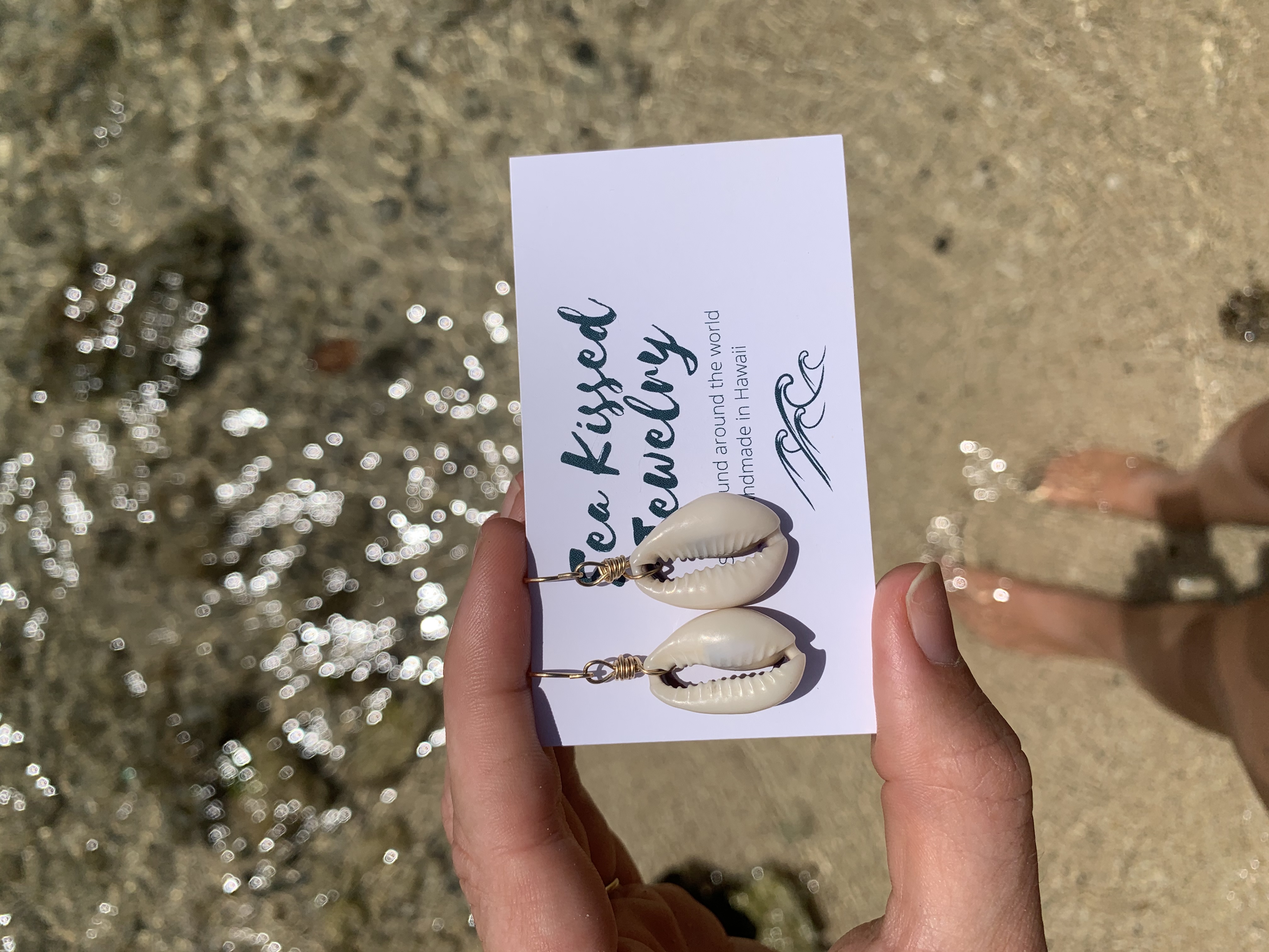 Cowry dream earrings